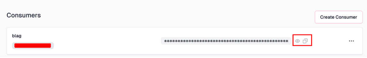 Saving the API consumer