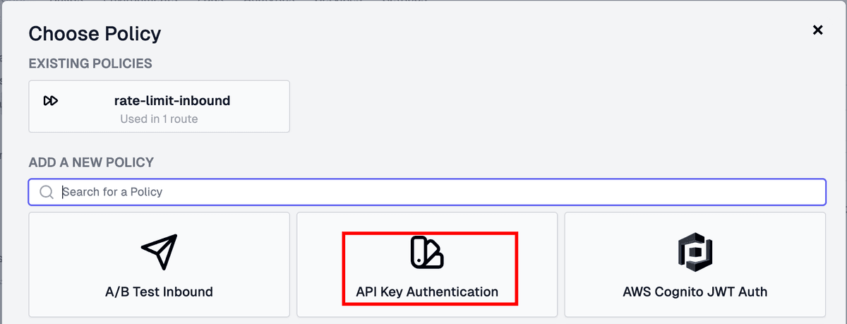 Add API key auth