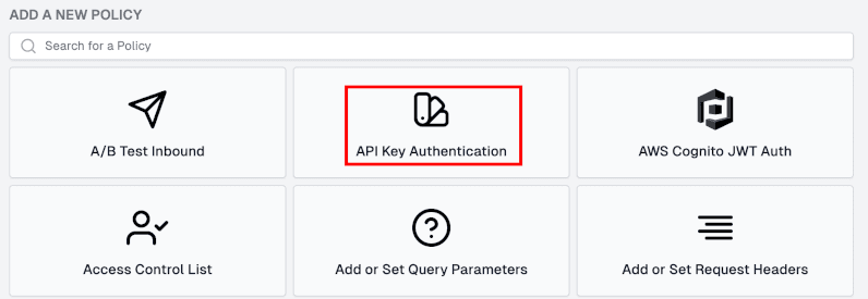 API key authentication policy